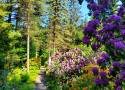 Najpiękniejsze ogrody botaniczne i parki na Dolnym Śląsku. Istne kwietne raje idealne na majówkę! Sprawdź lokalizacje i cenniki