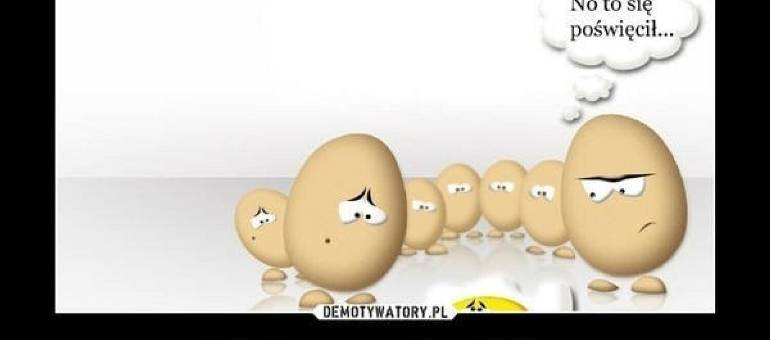 Zdjęcie artykułu z dnia 06-04-2026