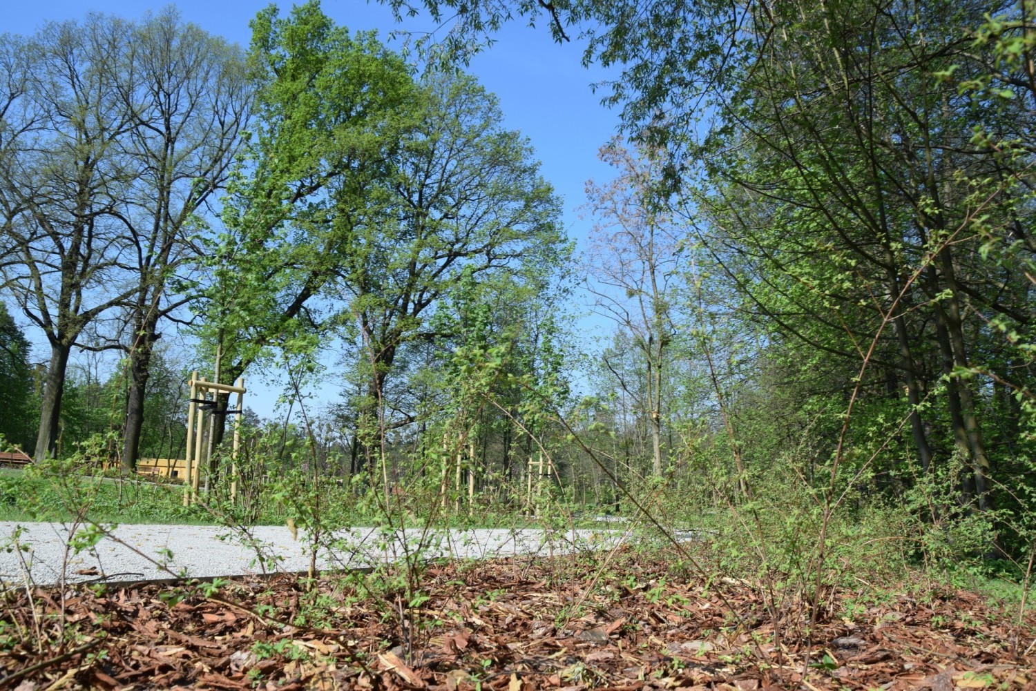 Nowy fragment bulwaru nad Lublinicą rozkwita