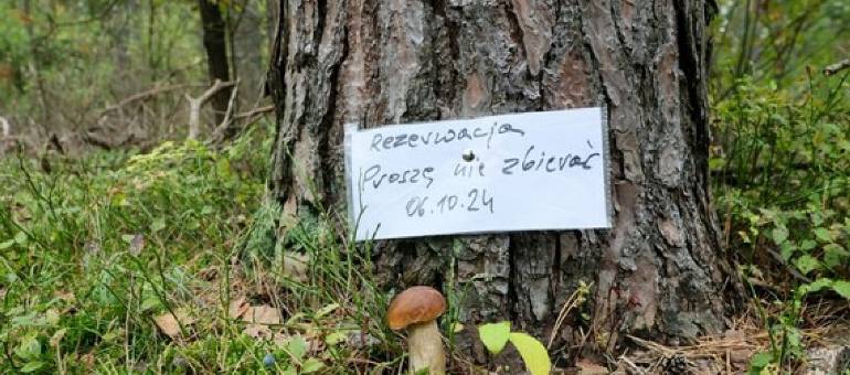 Zdjęcie artykułu z dnia 18-09-2026