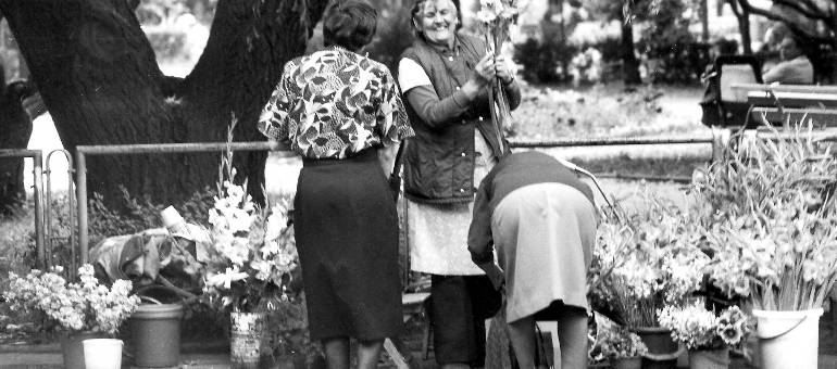 Zdjęcie artykułu z dnia 14-04-2026