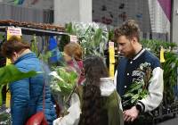 Tłumy pasjonatów na Festiwalu Roślin w Opolu. Wybór roślin jest ogromny