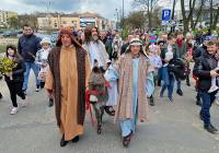 Niedziela Palmowa w Piotrkowie, procesja z osiołkiem przyciągnęla tłumy. ZDJĘCIA