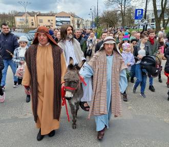 Niedziela Palmowa w Piotrkowie, procesja z osiołkiem przyciągnęla tłumy. ZDJĘCIA