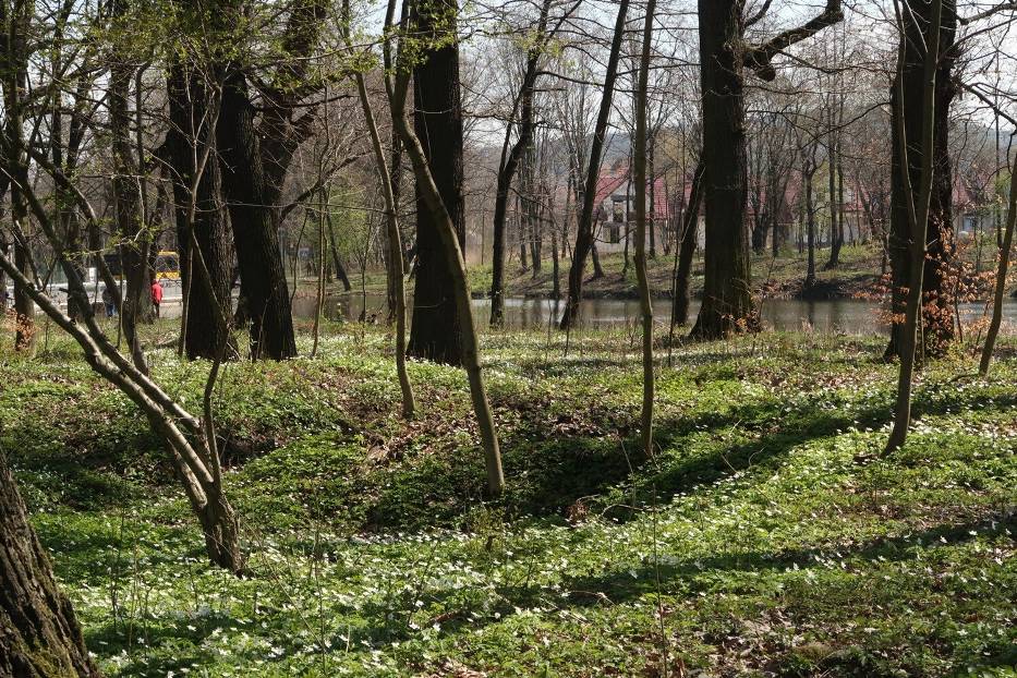 Klimatyczny zbiornik wodny w Wałbrzychu wyjątkowo piękny wiosną! Zobaczcie zdjęcia