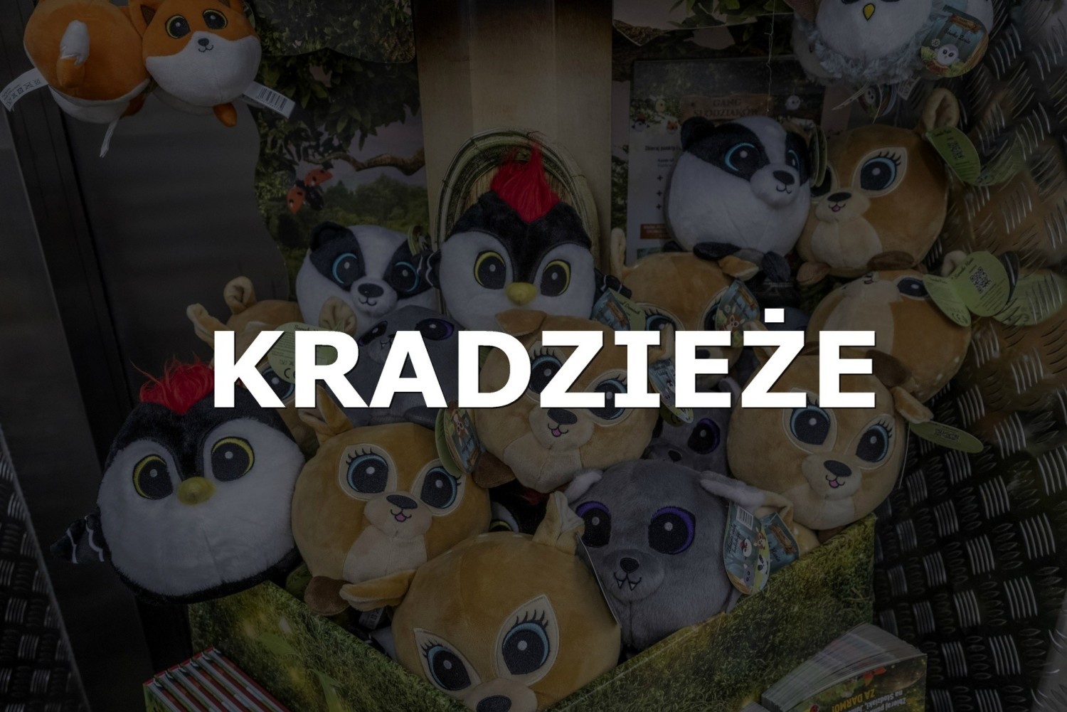 Kradzieże naklejek na Świeżaki a później Słodziaki to prawdziwa plaga