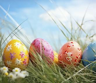Szukanie Jajeczek Wielkanocnych na Kazia już 30 marca! Moc zabawy dla małych i dużych
