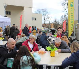 "Jajko, żurek i mazurek" - wiosenny piknik odbył się w centrum Bełchatowa, ZDJĘCIA