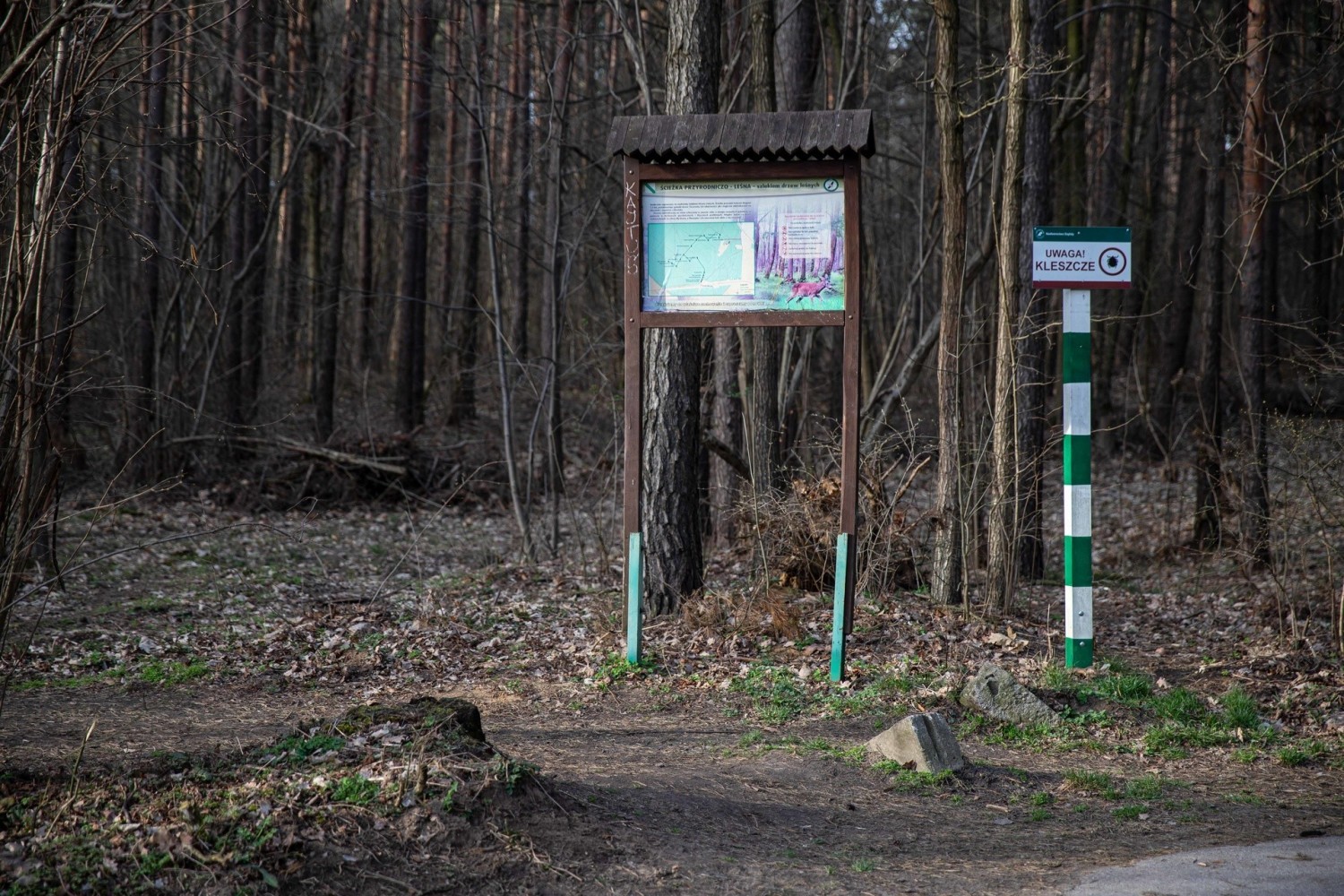 Rezerwat Antoniuk