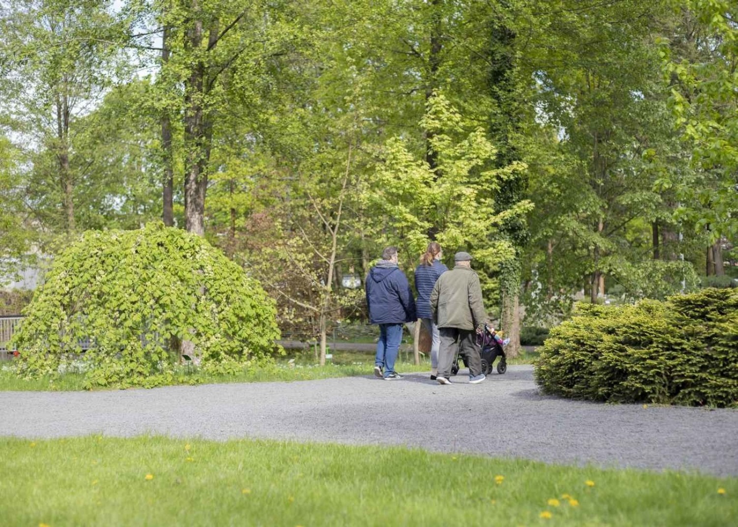 Ogród Botaniczny i Mini Zoo w Zielonej Górze ponownie otwarte dla zwiedzających