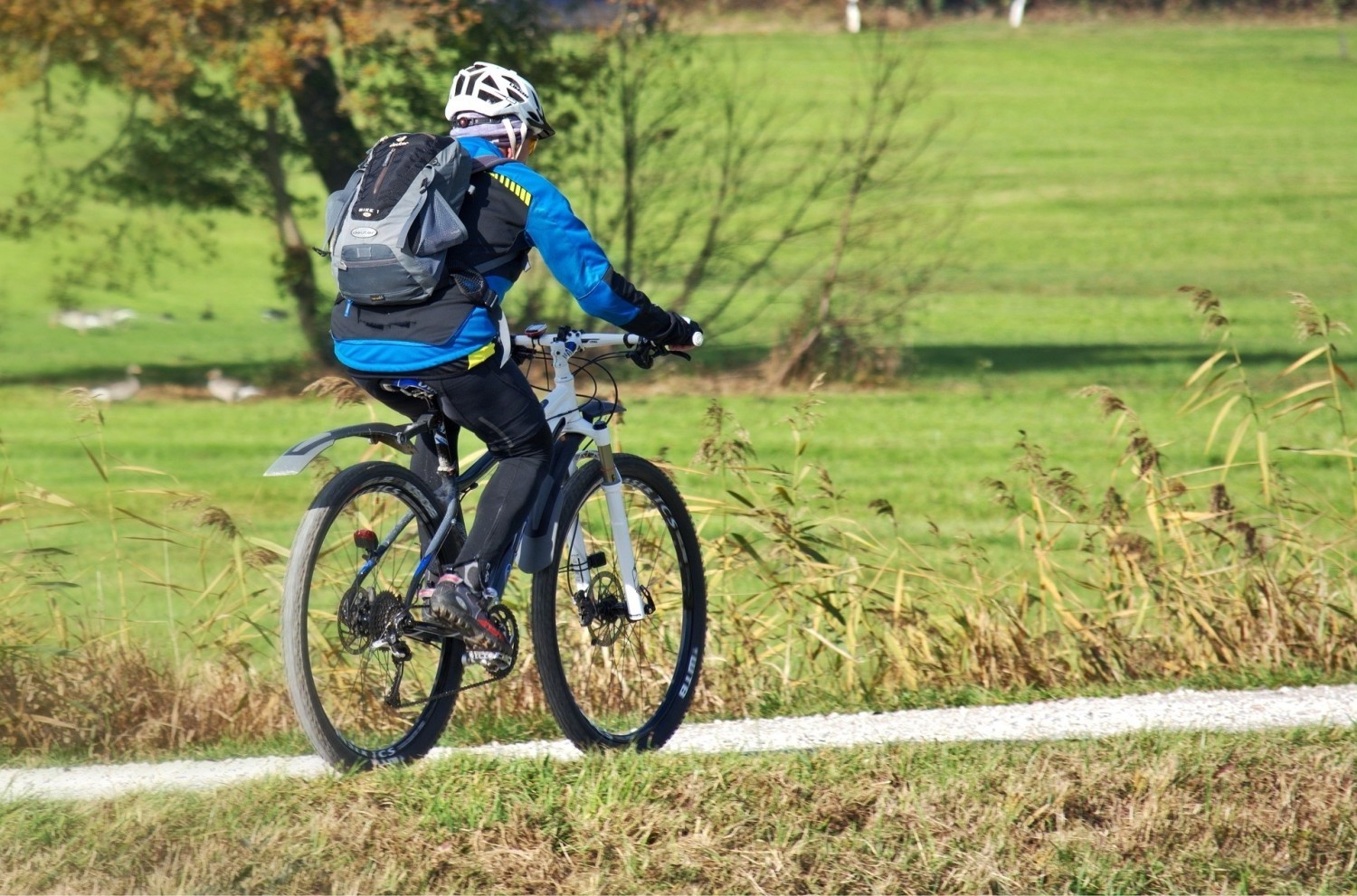 Ścieżki rowerowe w województwie podkarpackim