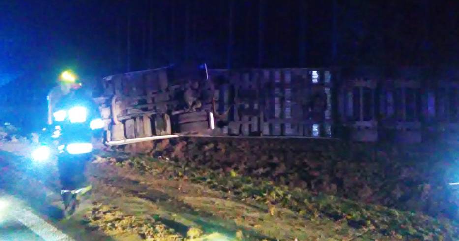 Ciężarówka Z Drewnem Wypadła Z Drogi Koło Olszyny Zdjęcia