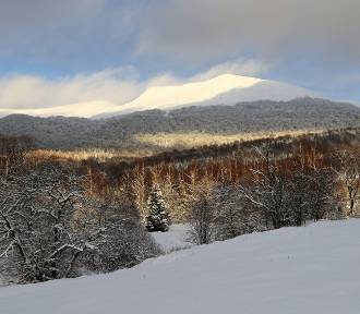 Przepiękna zima w lasach w Bieszczadach [ZDJĘCIA]