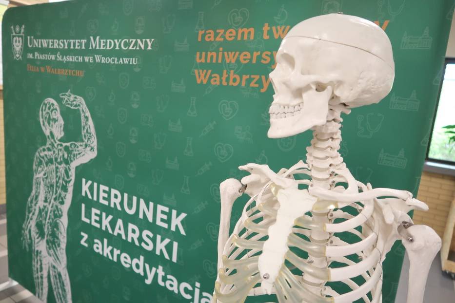 Wałbrzyska filia Uniwersytetu Medycznego we Wrocławiu: Dlaczego warto studiować na kierunku lekarskim w Wałbrzychu?- zdjęcia