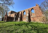 Odwiedź Steblewo. Tam są ruiny XIV-wiecznego gotyckiego kościoła | ZDJĘCIA,WIDEO