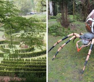 Nowość w raciborskim Arboretum - dzieci będą ZACHWYCONE!