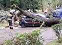 Gwałtowna burza w Bielsku-Białej! Połamane drzewa i zniszczone samochody...