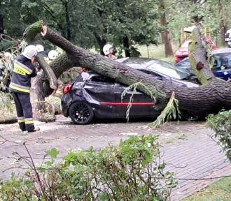 Gwałtowna burza w Bielsku-Białej! Połamane drzewa i zniszczone samochody...