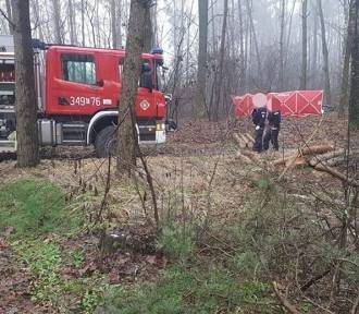 Wycinka drzew w Obrowie i śmierć Mirosława. Szokujące wyniki badań trzeźwości ekipy