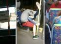 Wsiedli do autobusu na Śląsku, a tam... Co aż tak zaskoczyło pasażerów, że zaczęli robić zdjęcia? Zobacz to!
