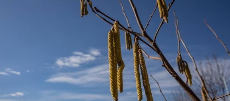Zdjęcie artykułu z dnia 26-02-2026