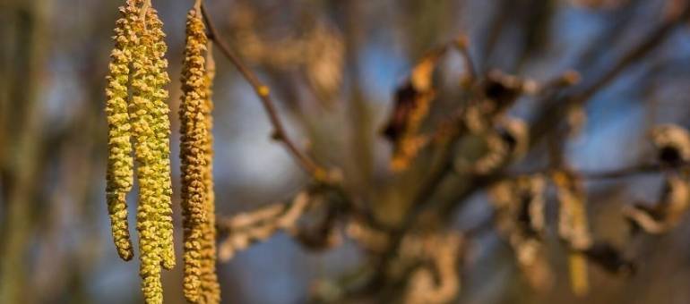 Zdjęcie artykułu z dnia 25-03-2026