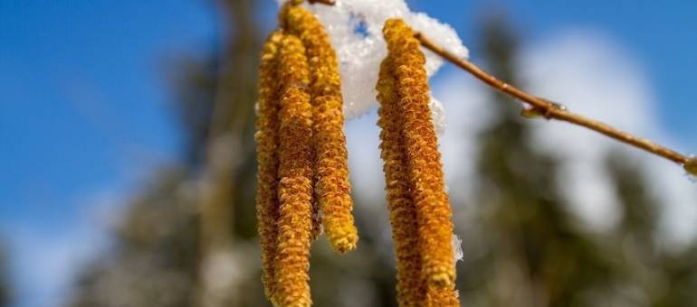 Zdjęcie artykułu z dnia 03-03-2026