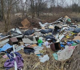 Kolejne składowisko odpadów w rejonie Szprotawy do likwidacji!