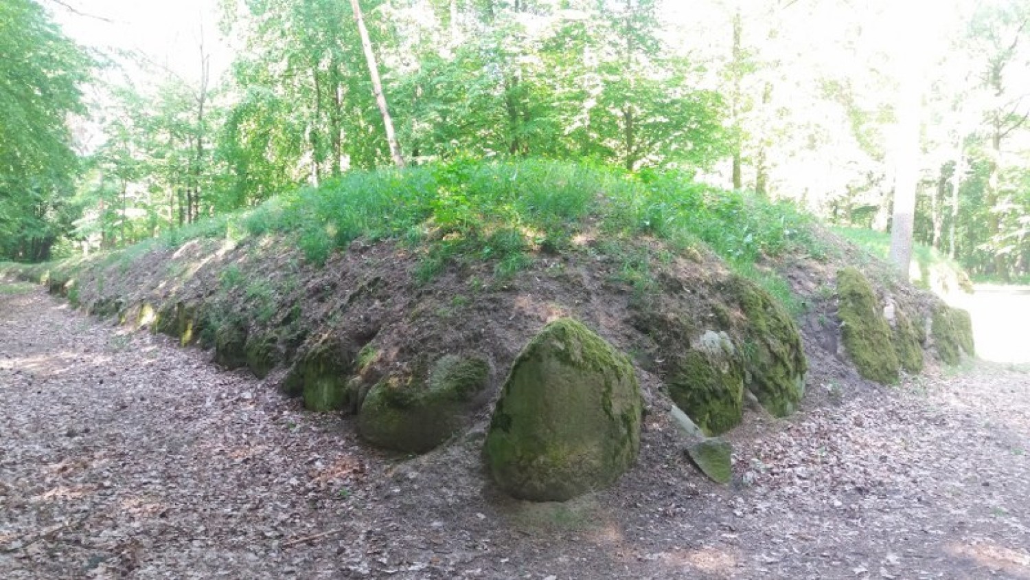 Rezerwat archeologiczny w Wietrzychowicach