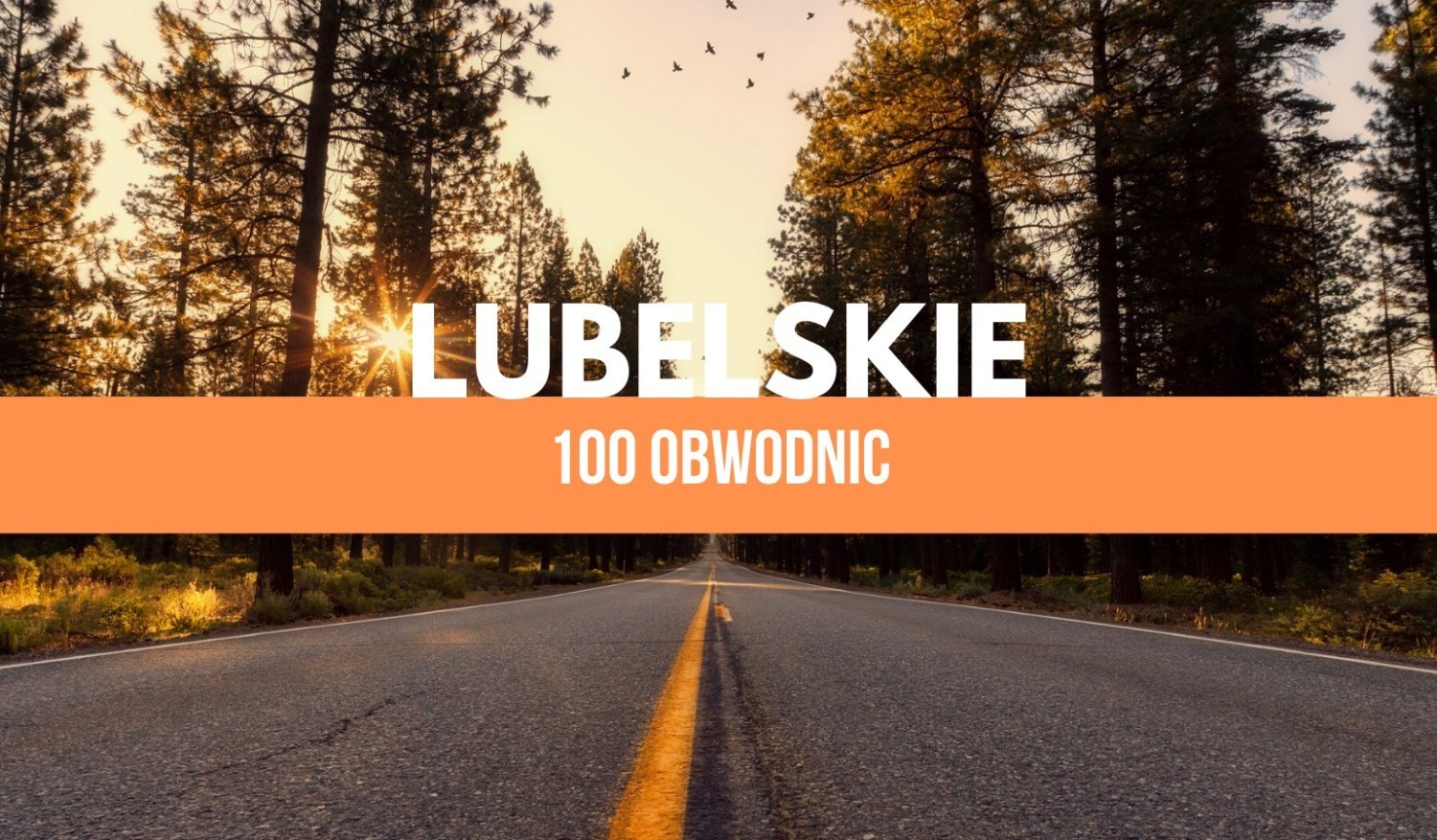 Lubelskie - Dzwola w ciągu drogi krajowej nr 74