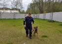 Pies policyjny z komendy w Rypinie przeszedł na emeryturę. Zobacz zdjęcia