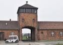 Oświęcim to nie tylko obóz Auschwitz-Birkenau, choć w 2022 roku odwiedziło go ponad milion turystów. Warto zobaczyć inne miejsca. WIDEO
