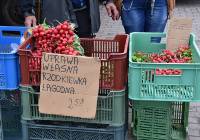 Aktualne ceny warzyw i owoców na targowiskach. Borówki na wagę złota!