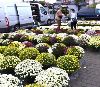 Piątek przed Wszystkimi Świętymi 2023 na targu w Sławnie. Handel kwiatami. Zdjęcia