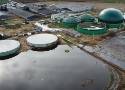Władze gminy Olesno wydały negatywną opinię w sprawie biogazowni w Wielopolu. Mieszkańcy skarżą się na jej działanie i chcą jej zamknięcia