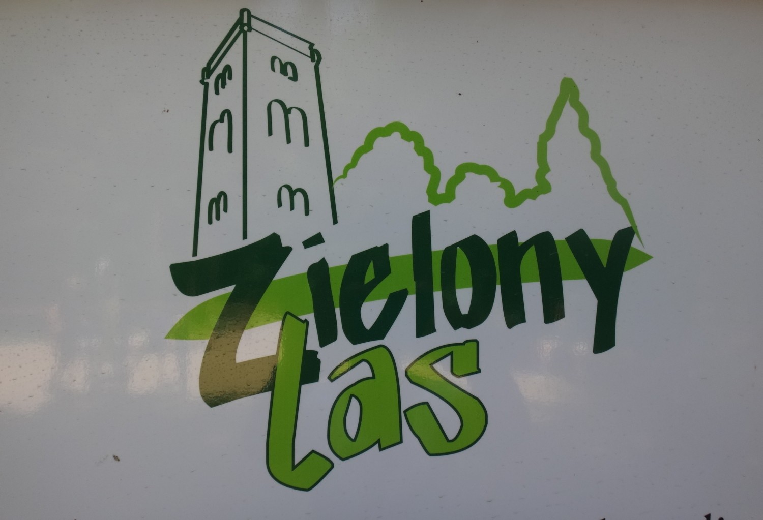 Zielony Las w Żarach. Popularne miejsce rekreacyjne nie tylko wśród mieszkańców Żar