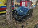Wypadek na DK 35 pod Wałbrzychem. Kierowca stracił przytomność i rozbił samochód na drzewie - zdjęcia