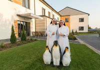Zakonnice świętują Światowy Dzień Pingwina. To była wyjątkowa historia z happy endem!