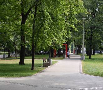 Kontrowersje związane z piknikiem w Parku Bogucickim. Mamy wypowiedzi ZZM i Miasta