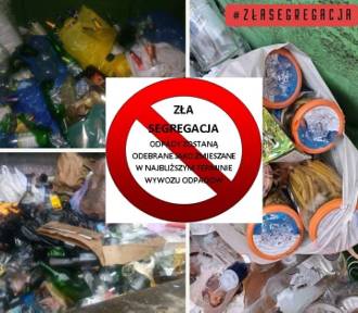 W gminie Jarosław za złą segregację śmieci będą wyższe opłaty! 