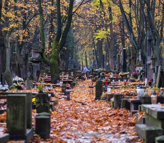 W tych dzielnicach Warszawy umiera najwięcej osób. GUS podał dane