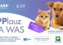 GS24.pl wraz z Centrum Handlowym Galaxy pomaga zwierzakom w potrzebie – charytatywna akcja 