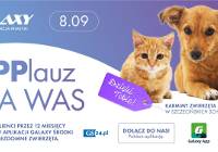 GS24.pl wraz z Centrum Handlowym Galaxy pomaga zwierzakom w potrzebie 