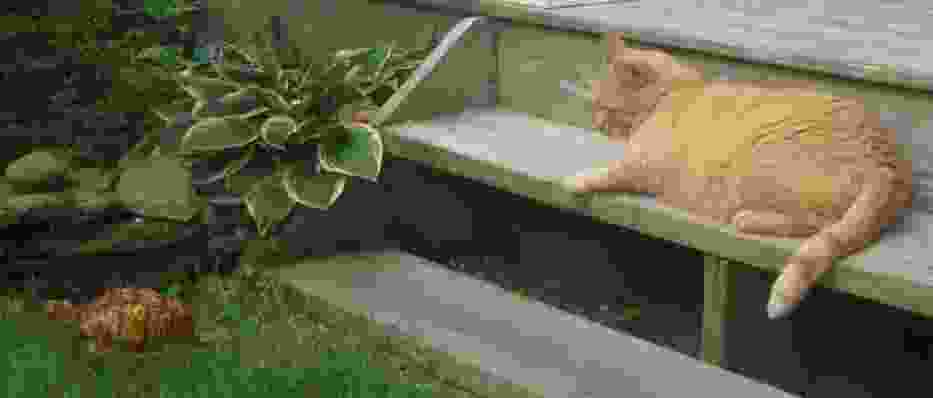 Biorę zabawki i idę