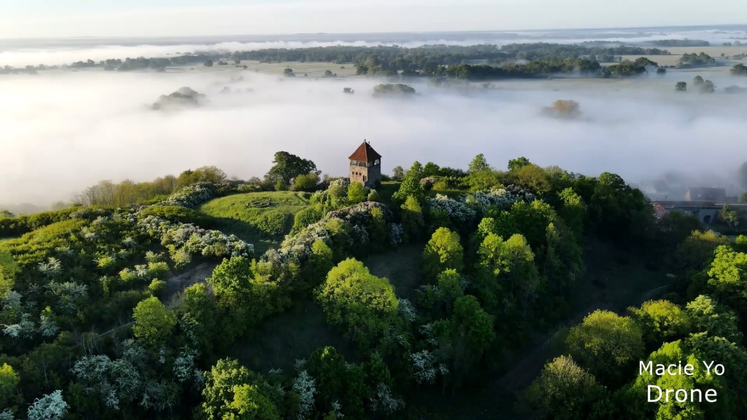 Te zdjęcia wyglądają jak kadry z baśni