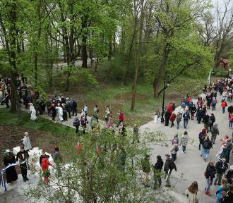 Kraków. To już rok od otwarcia parku, którego remont budził wielkie kontrowersje