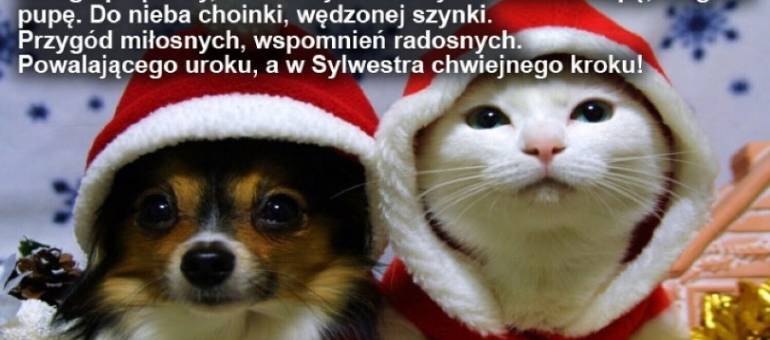 Zdjęcie artykułu z dnia 25-12-2025