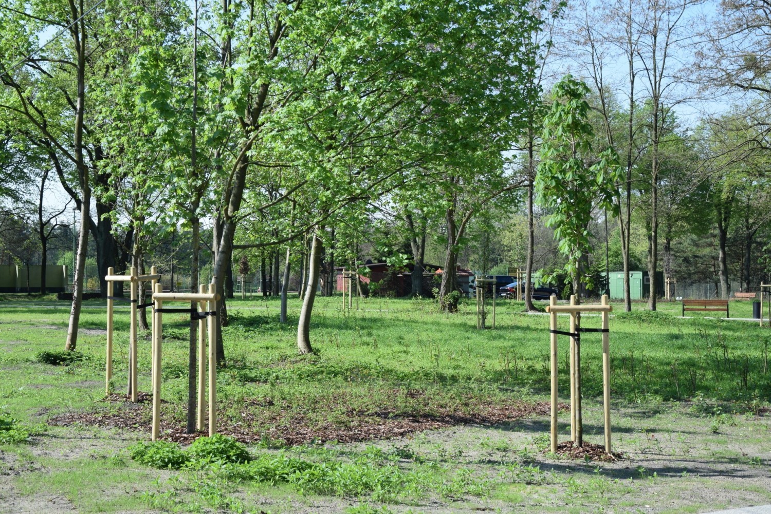 Nowy fragment bulwaru nad Lublinicą rozkwita