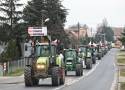 20 marca wielki protest rolników! Sparaliżują całą Wielkopolskę. "Czeka nas coś naprawdę dużego"