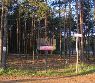 Kampinoski Park Narodowy: Twoje miejsce na weekendowy odpoczynek blisko Warszawy